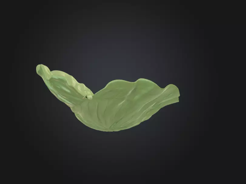Leaf with Visible Veins 3D print model_6
