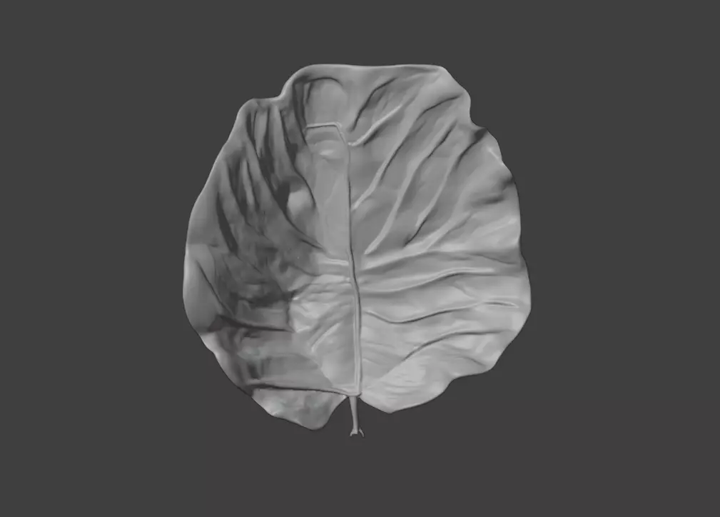 Leaf with Visible Veins 3D print model_11