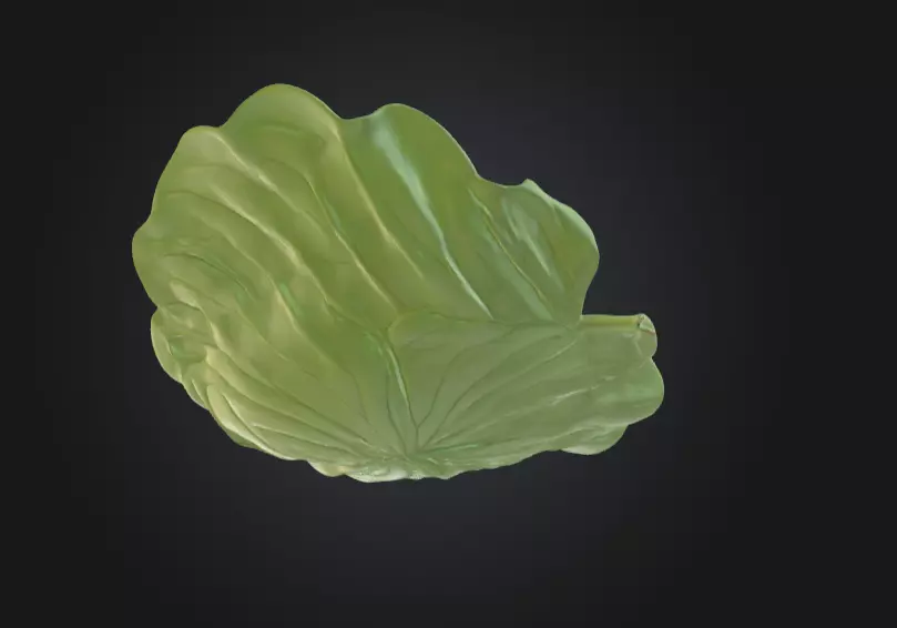 Leaf with Visible Veins 3D print model_9