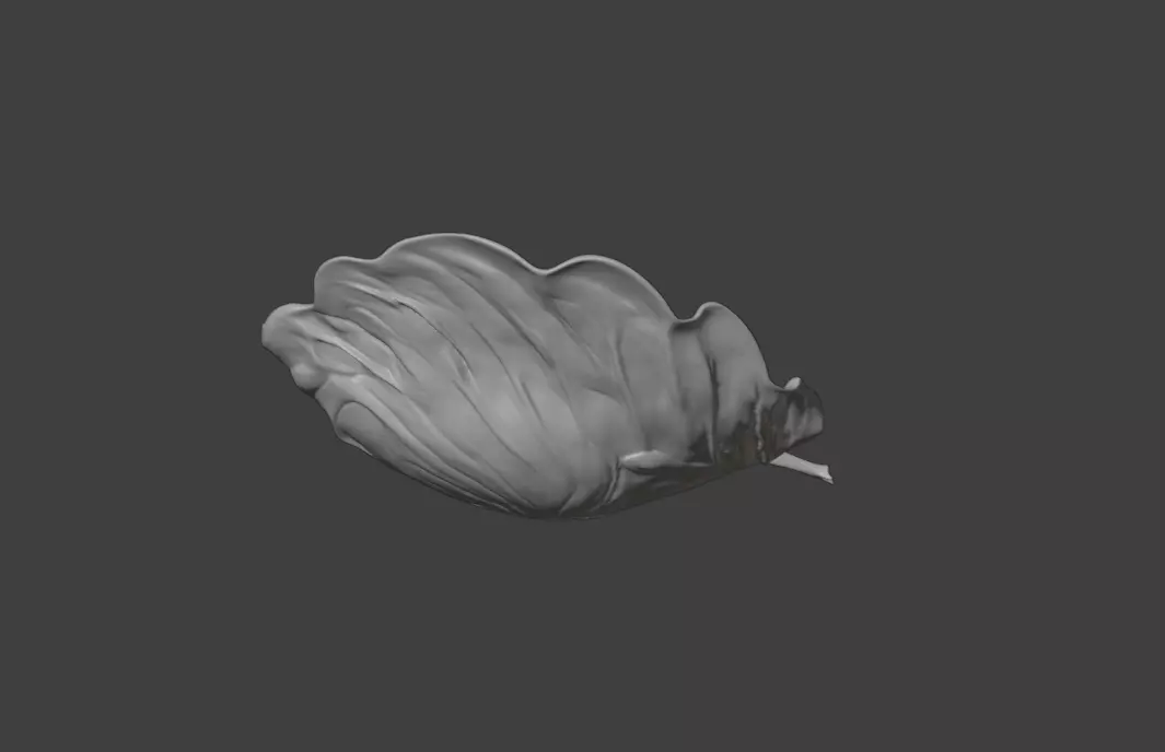 Leaf with Visible Veins 3D print model_12