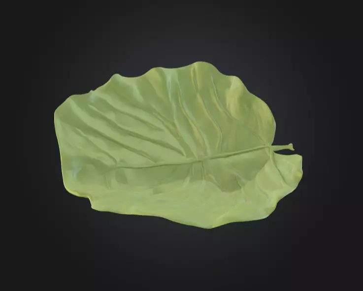 Leaf with Visible Veins 3D print model_3