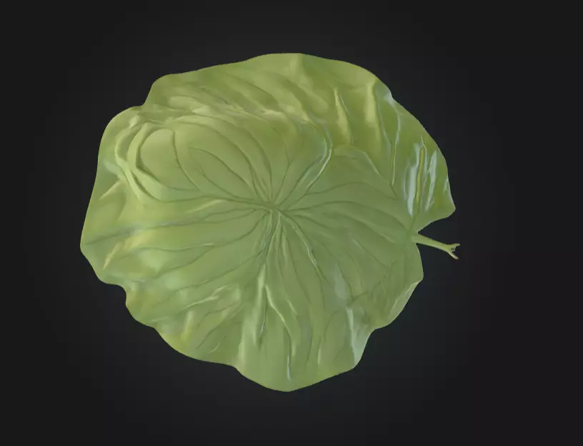 Leaf with Visible Veins 3D print model_2