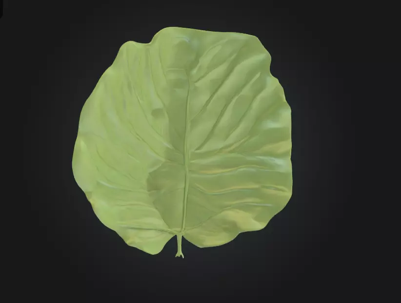 Leaf with Visible Veins 3D print model_0