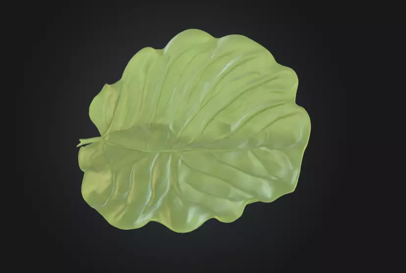 Leaf with Visible Veins 3D print model_1