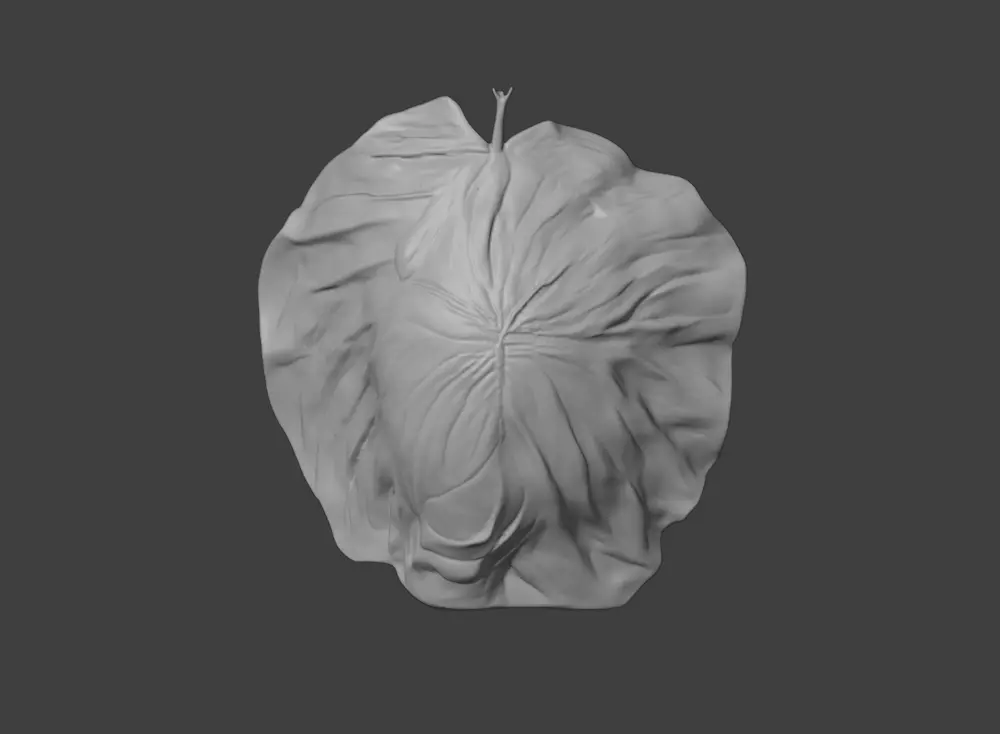 Leaf with Visible Veins 3D print model_14