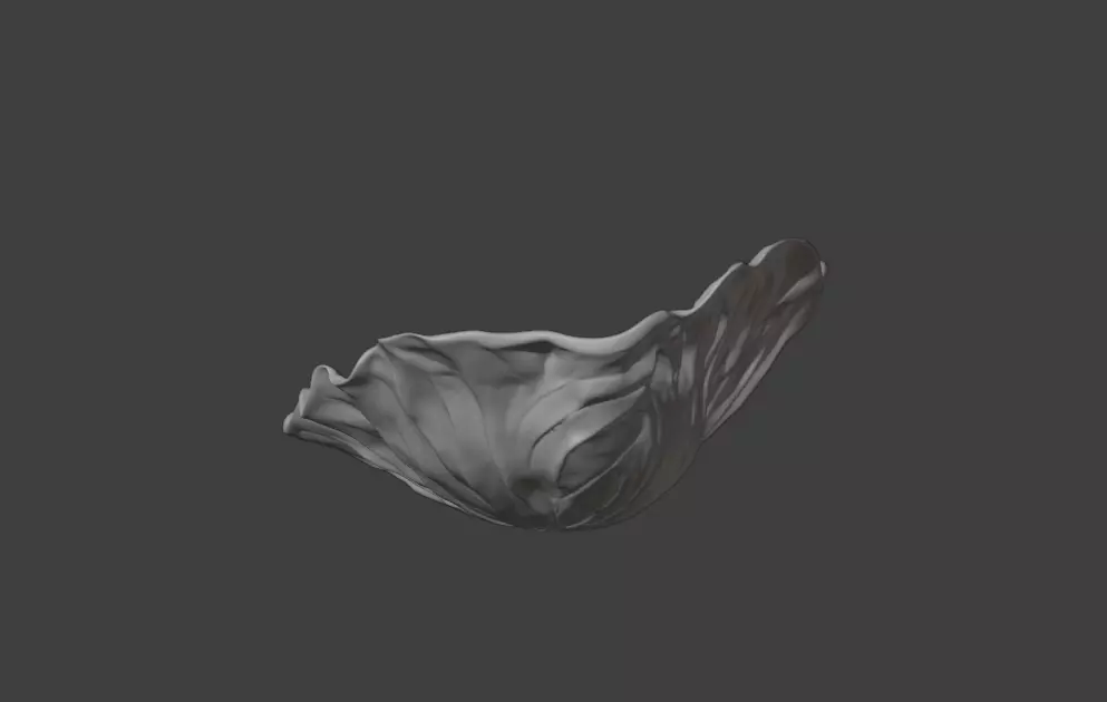 Leaf with Visible Veins 3D print model_13