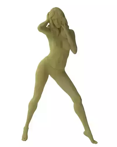 Posed Realistic Woman