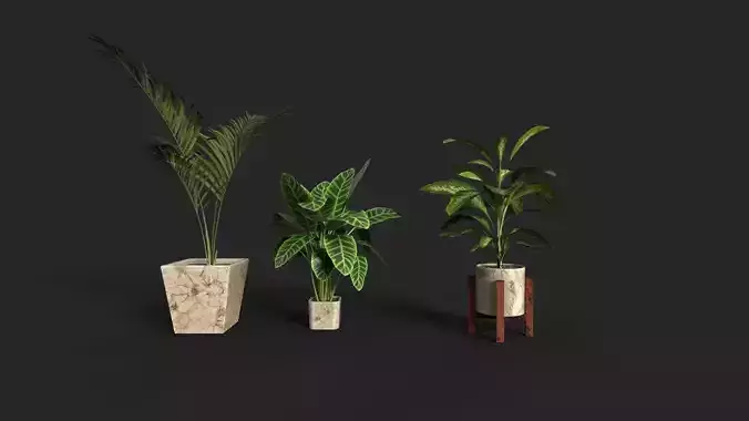 Indoor decorative plants Set 3D Model