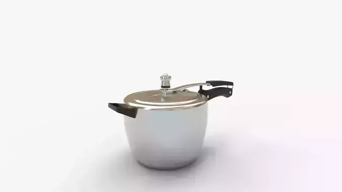 Silver Handy Pressure Cooker