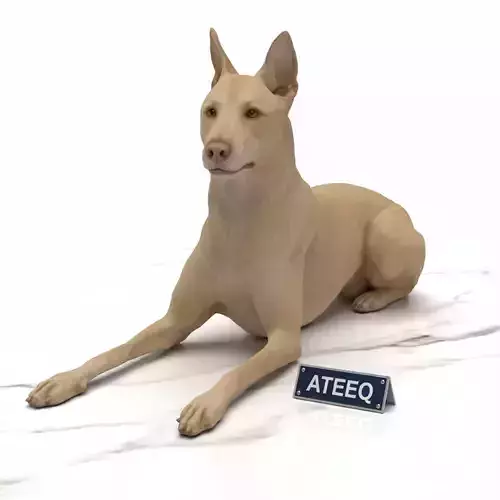 Dog Lying Down 3D Model Realistic Animal 3D Printable Game Ready