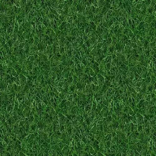 Photorealistic Grass Texture