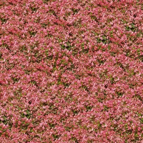 Seamless Flower Plant Texture 