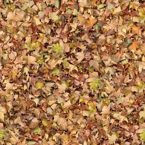 Seamless Autumn Leaves Texture 