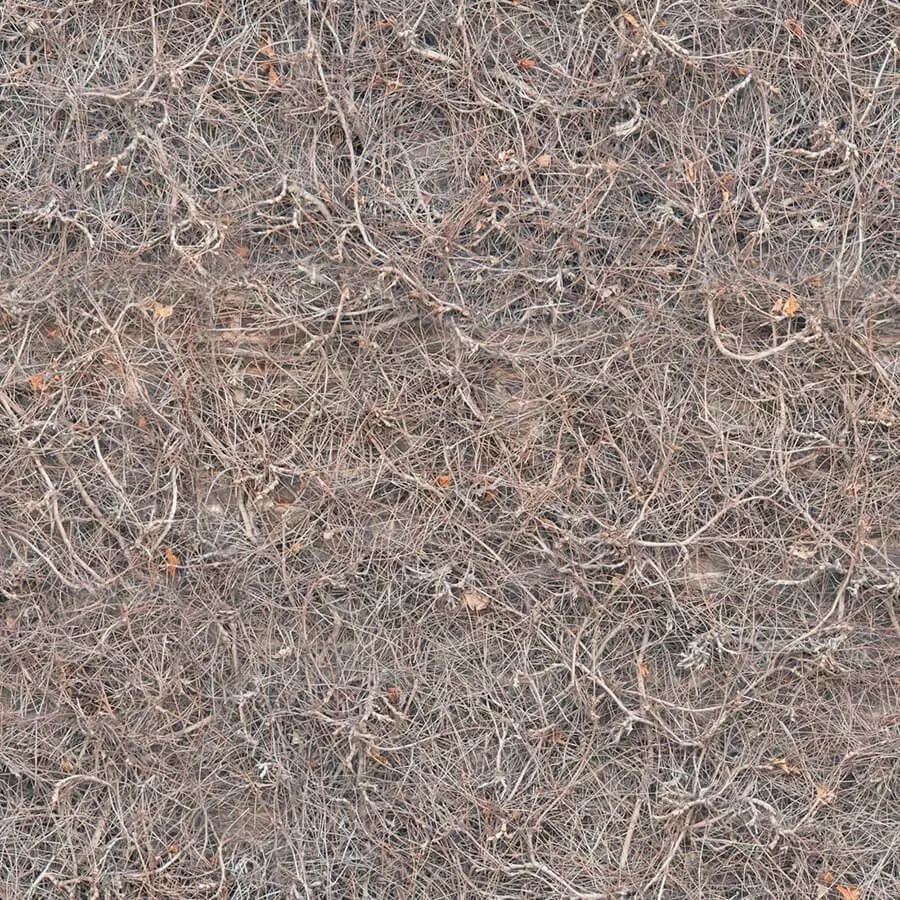 Seamless Dry Twigs Ground Debris Texture Texture