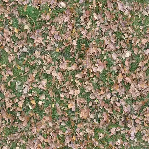Seamless Grass with Autumn Leaves Texture 