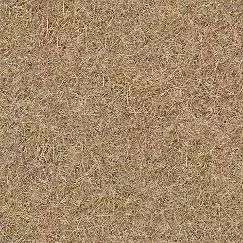 Rural Farm Straw Ground Texture 