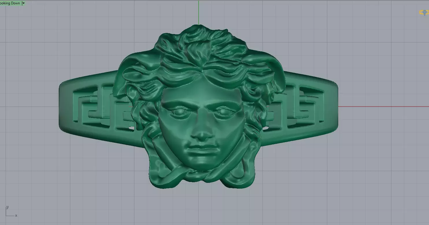 Vers ring 3D print model_6