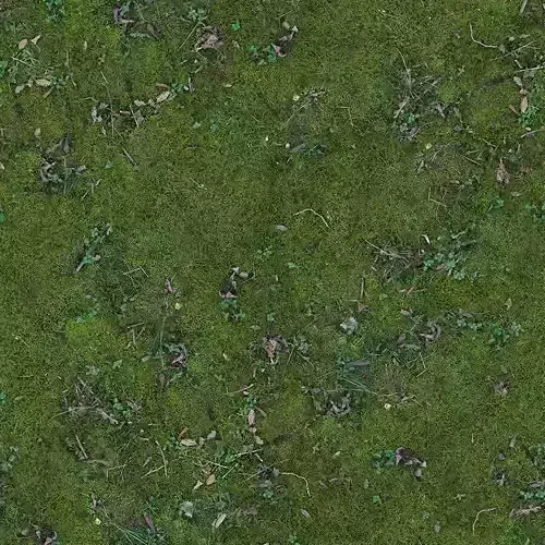Photorealistic Mossy Ground Seamless PBR Texture 