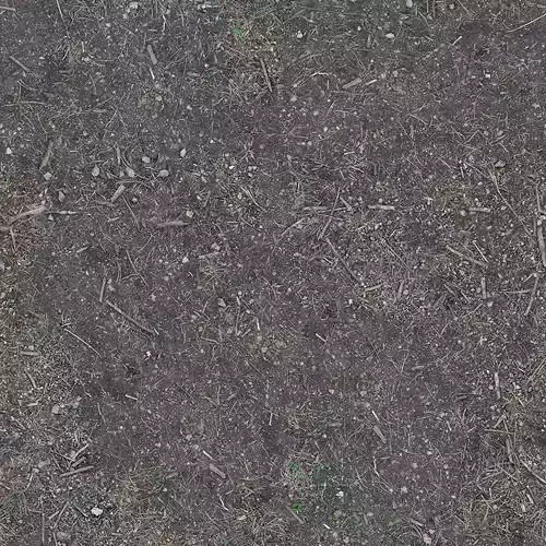 Photorealistic Dirty Soil Ground Seamless PBR Texture