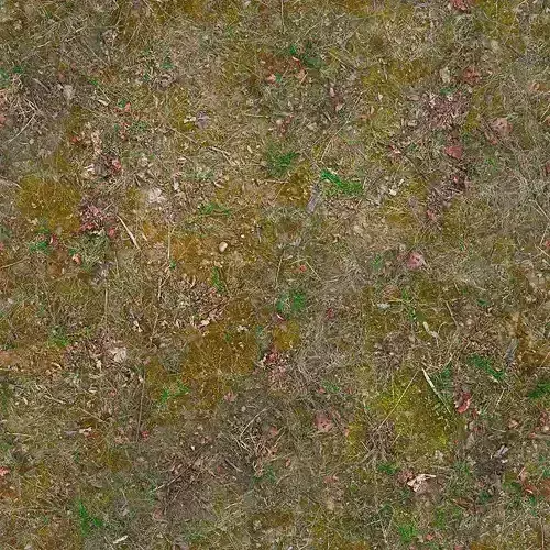 Seamless Mossy Ground Dirt Texture 