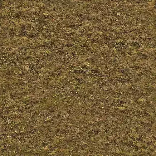 Seamless Brown Grass   Earth Texture 