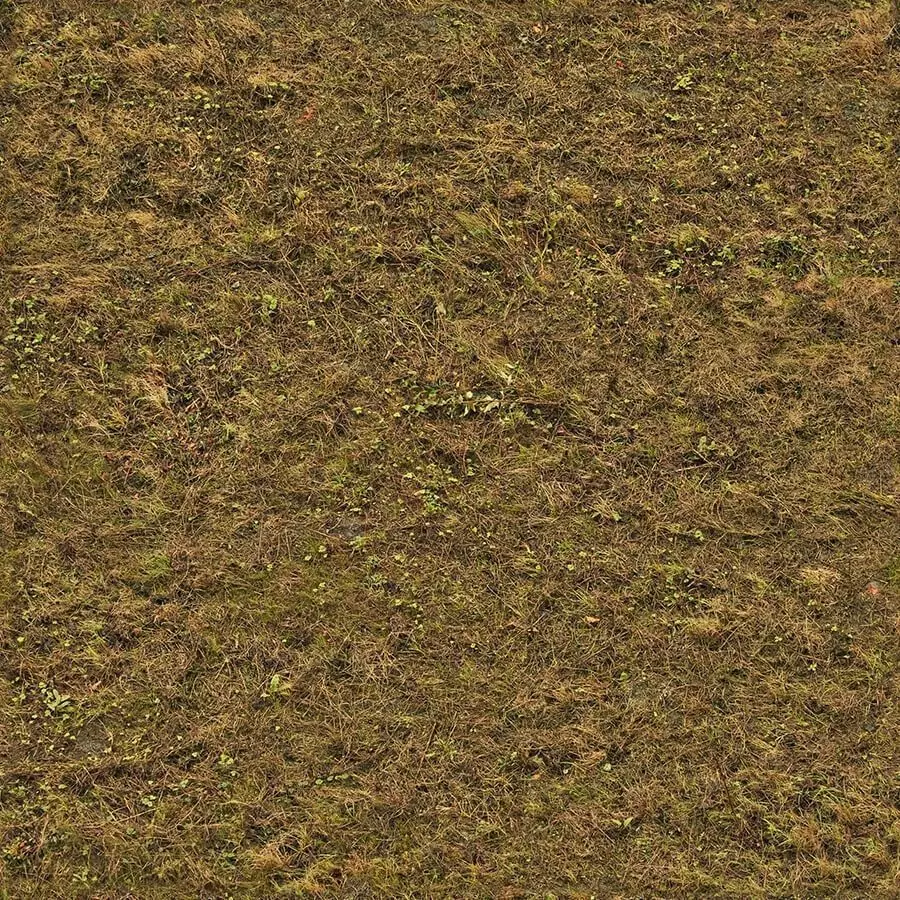 Seamless Brown Grass   Earth Texture  Texture_0