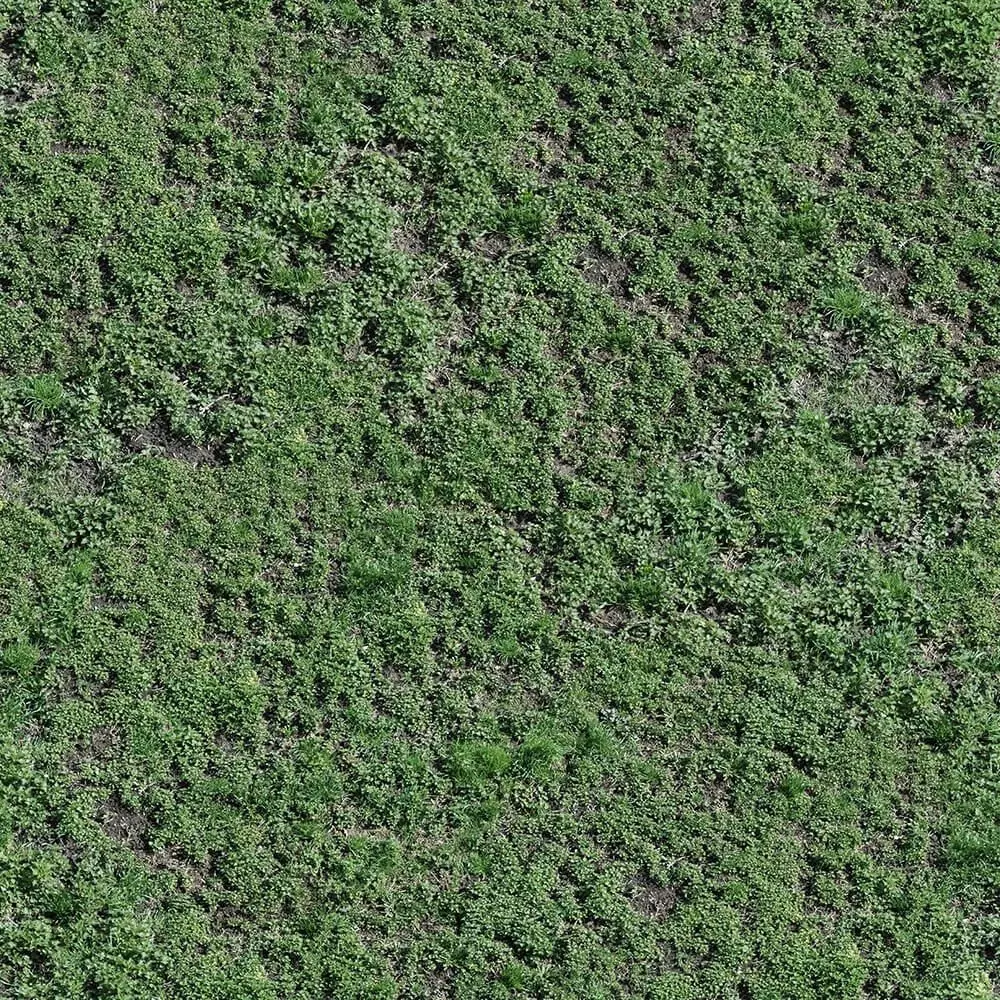 Seamless Green Grass Ground Texture Texture_0