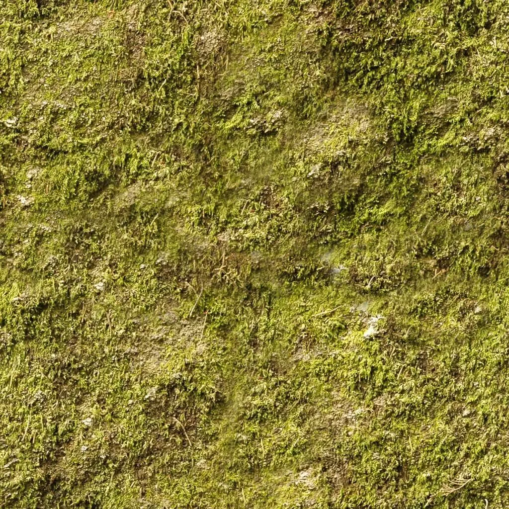 Photorealistic Moss Ground Texture  Texture_0
