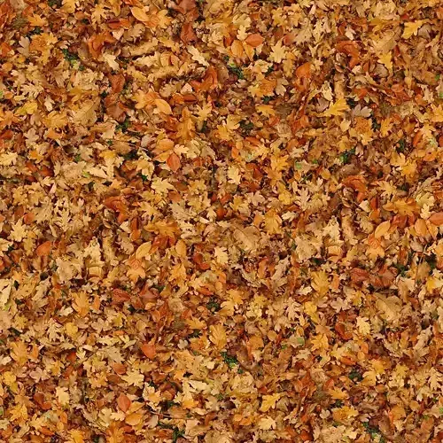 Seamless Autumn Fallen Leaves Texture