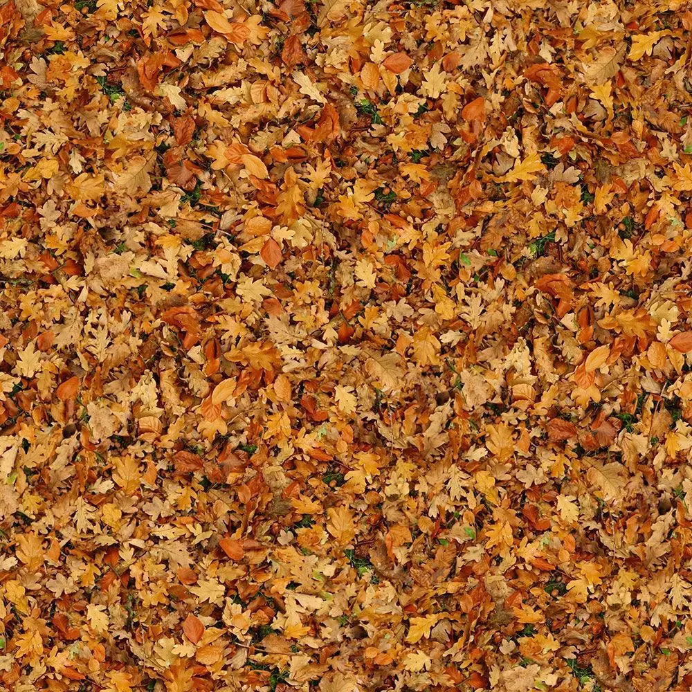 Seamless Autumn Fallen Leaves Texture Texture_0