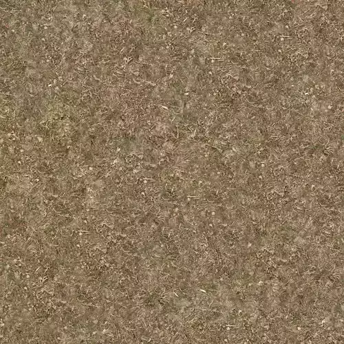 Seamless Dry Grass Ground Texture 