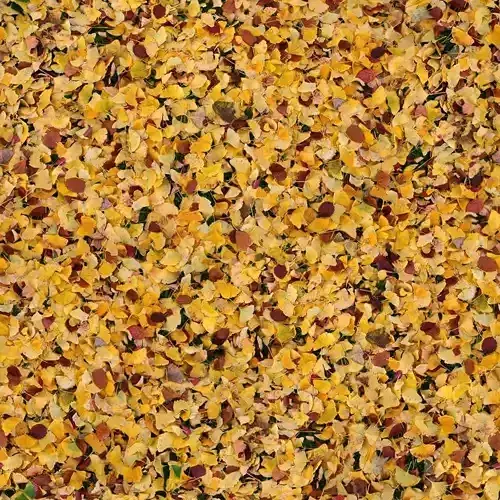 Seamless Yellow Autumn Leaves Texture 