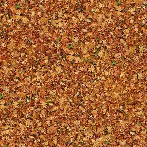 Seamless Autumn Leaf Pile Texture 