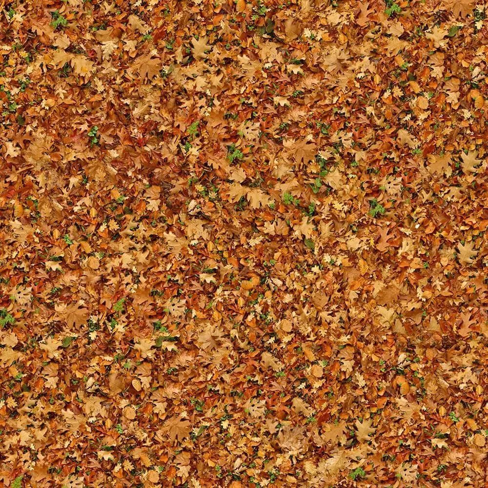 Seamless Autumn Leaf Pile Texture Texture_0