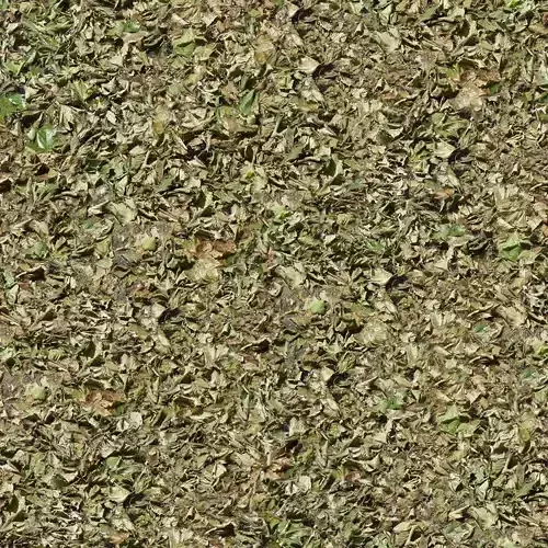 Seamless Dried Green Leaves Texture 
