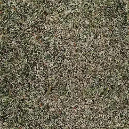 Seamless Pine Needles Ground Texture 
