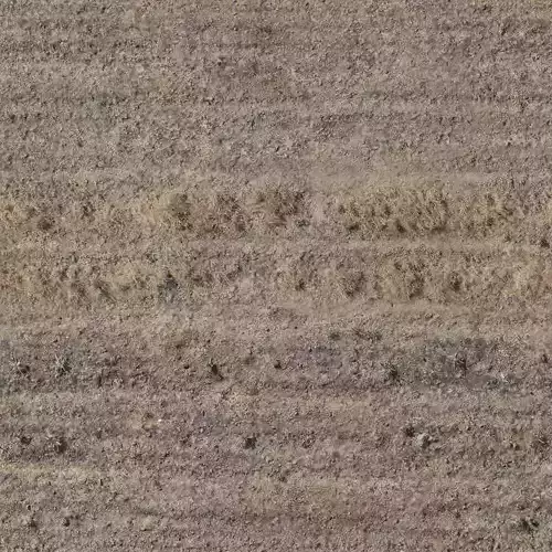 Dry Grass Ground Texture Seamless PBR
