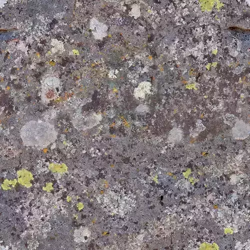 Old Mossy Stone Lichen Texture for 3D Environments