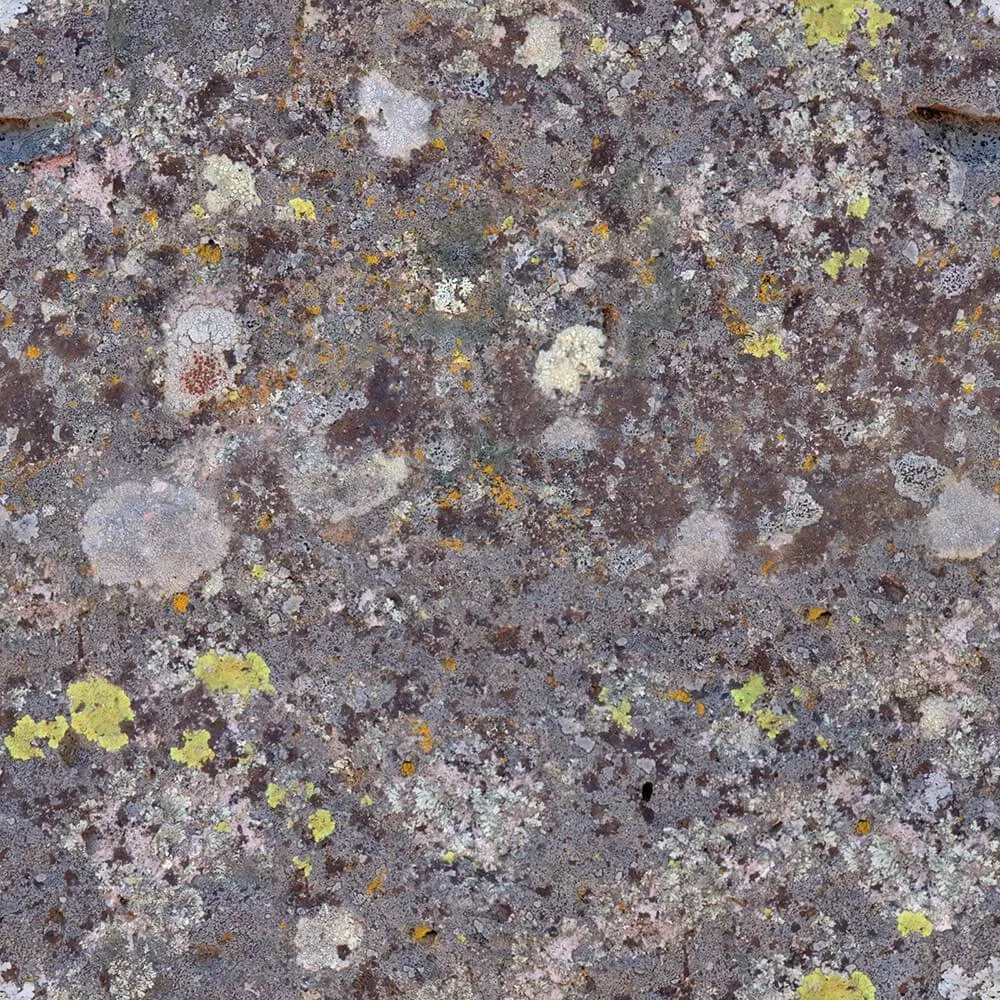 Old Mossy Stone Lichen Texture for 3D Environments Texture_0