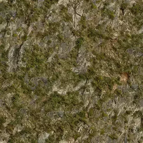 Mossy Rocky Surface Texture