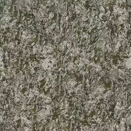 Mossy Gray Rock Texture 