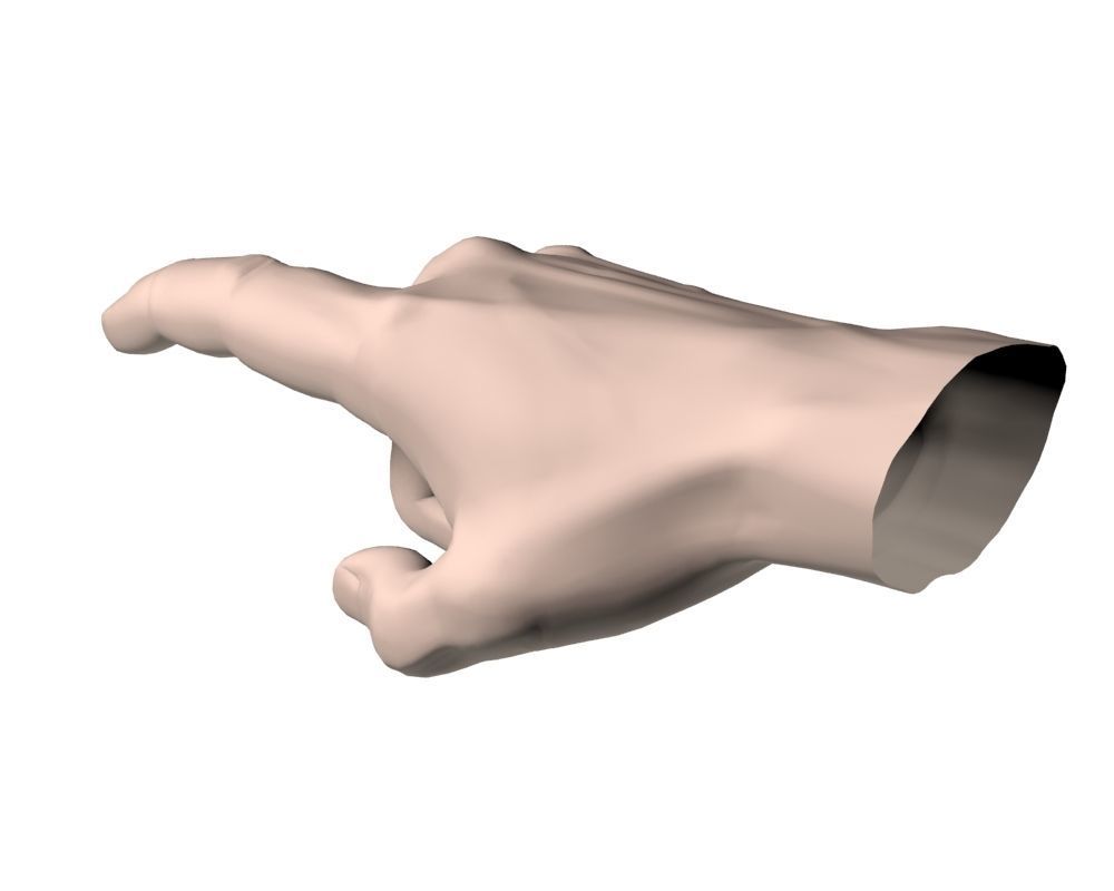 Hand Model 02 3D model_11