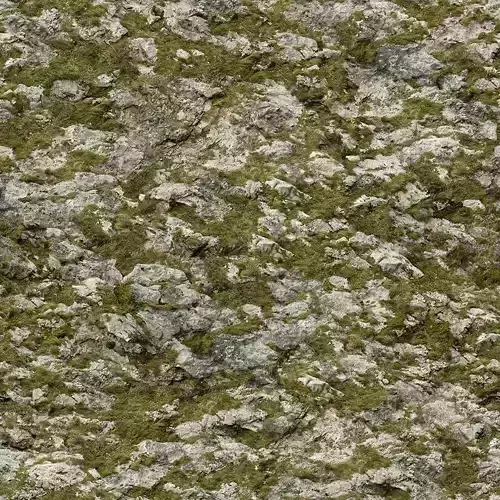 Rock and Moss Seamless Texture 