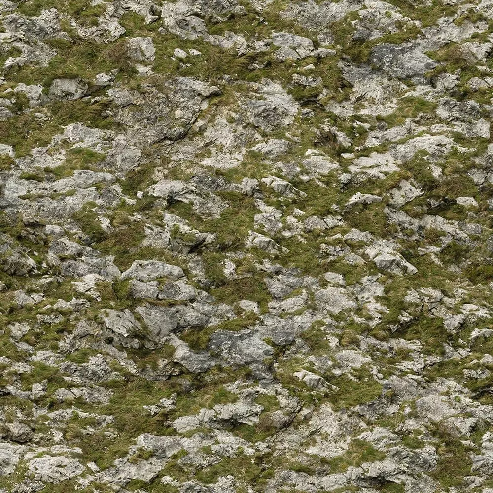 Rock and Moss Seamless Texture Texture_0