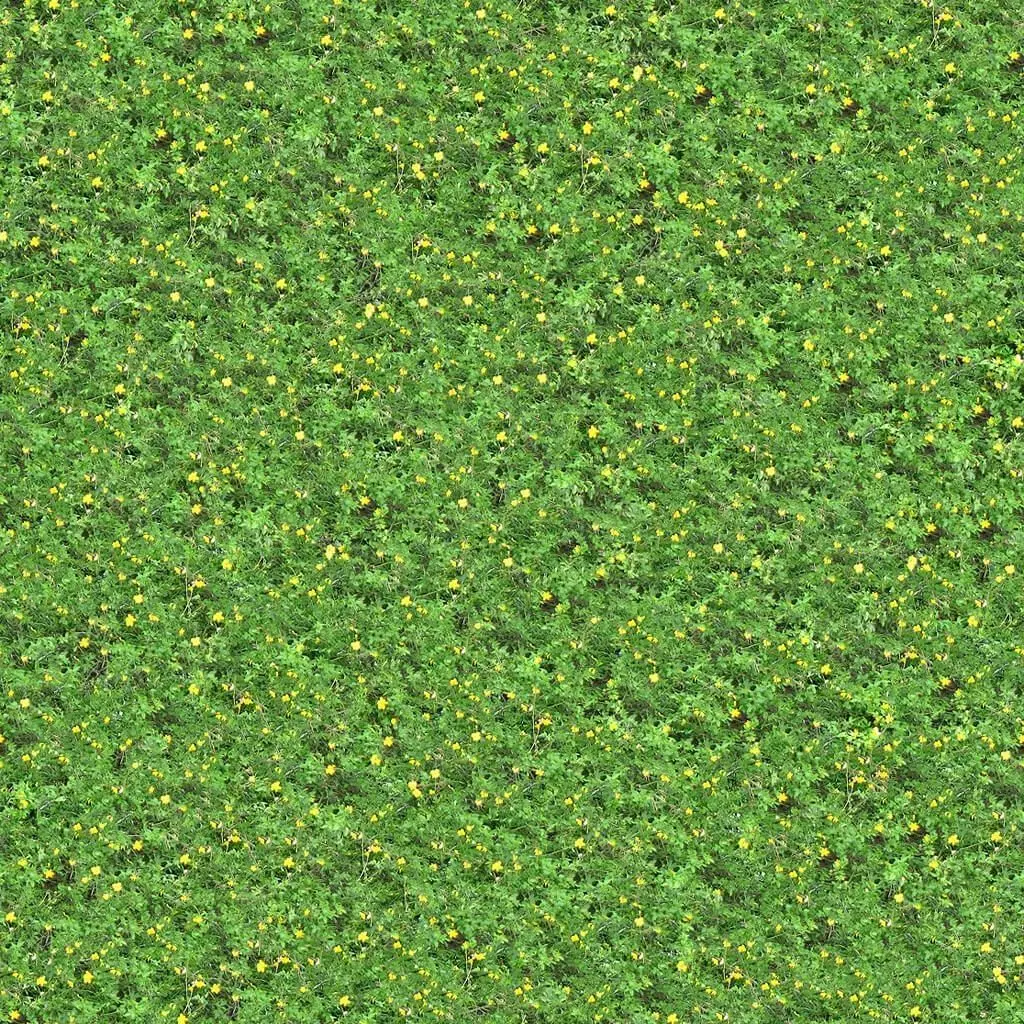 Green Wildflower Meadow Texture_0