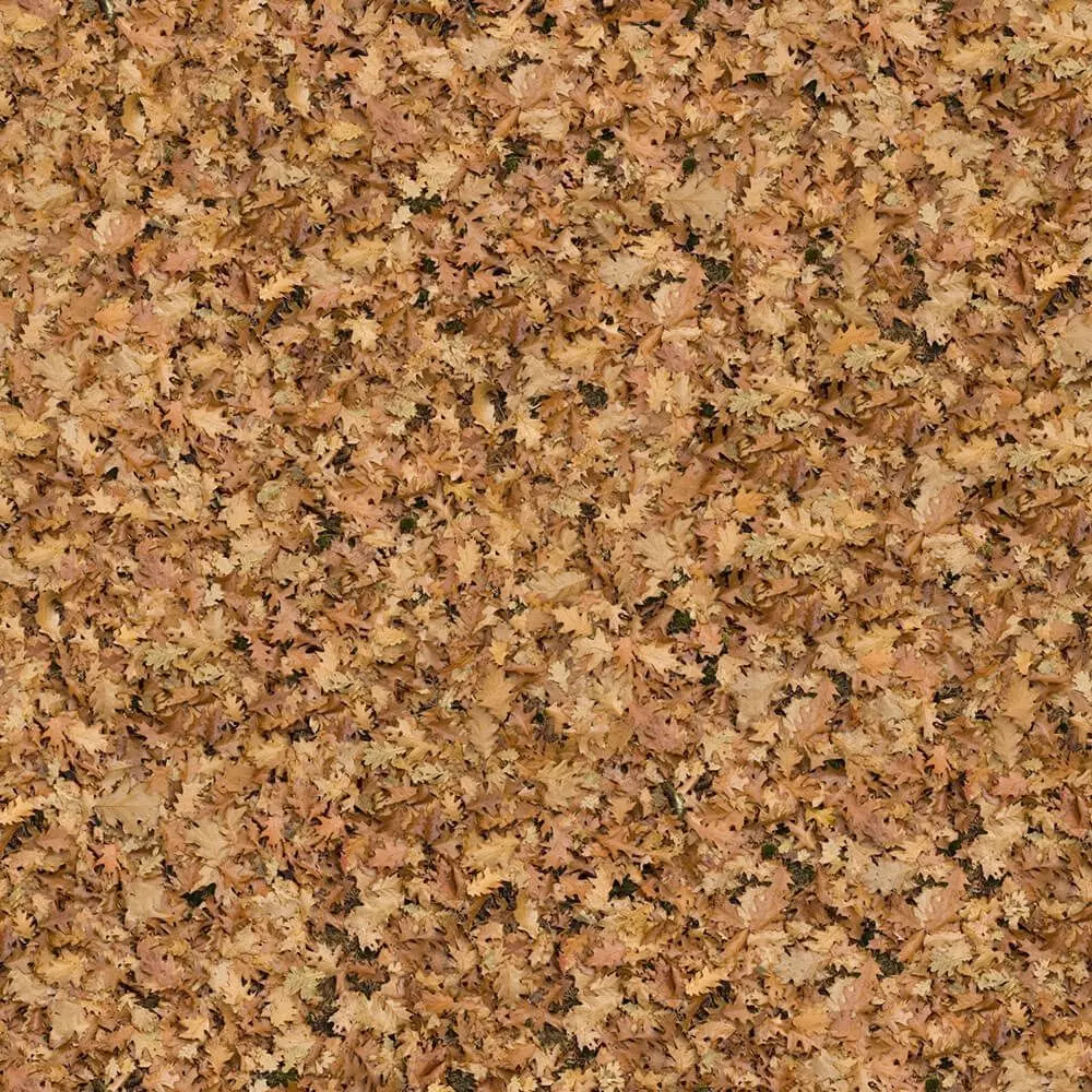 Dry Leaves Ground Cover Texture Texture_0