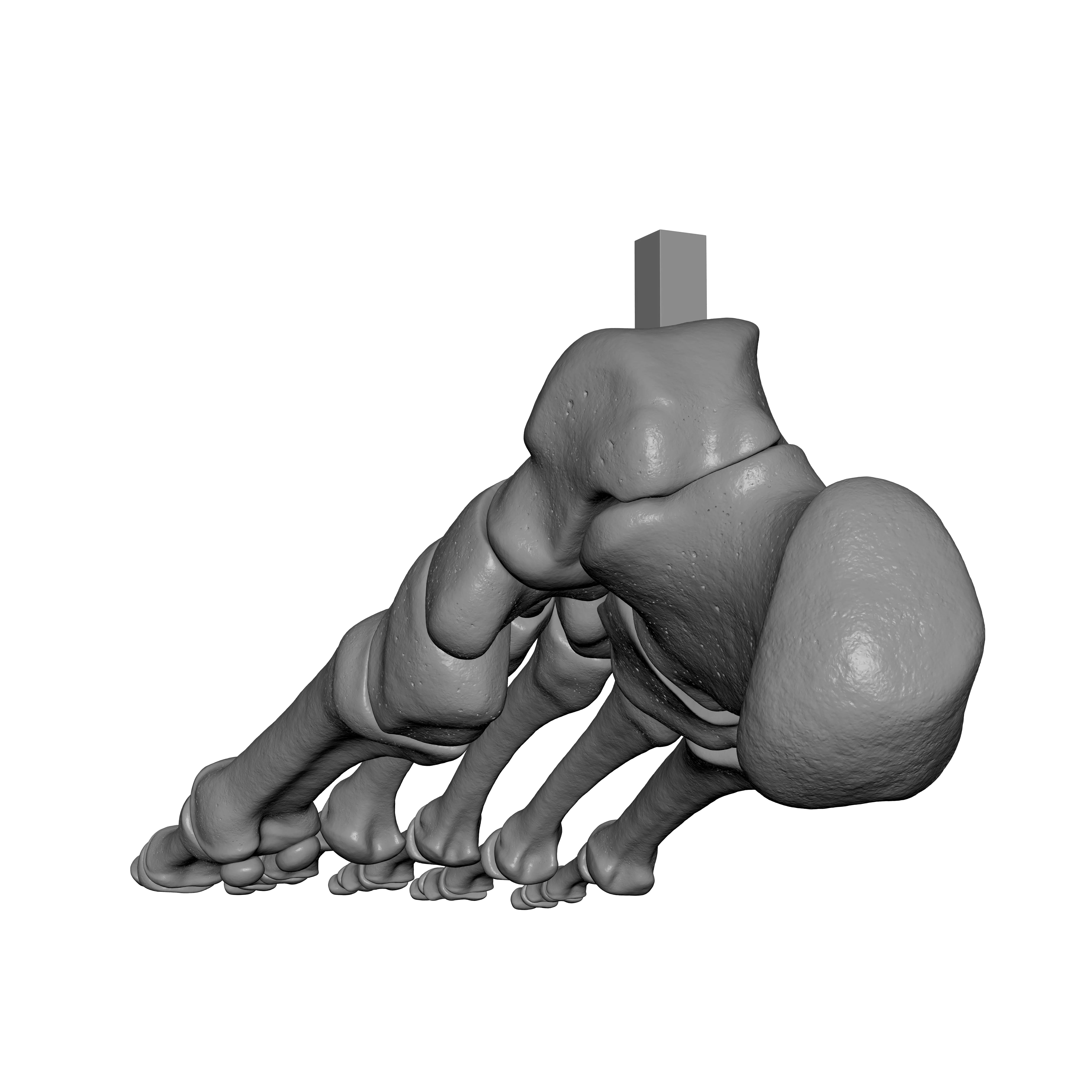 Human Rt Foot Bones 3D print model_13