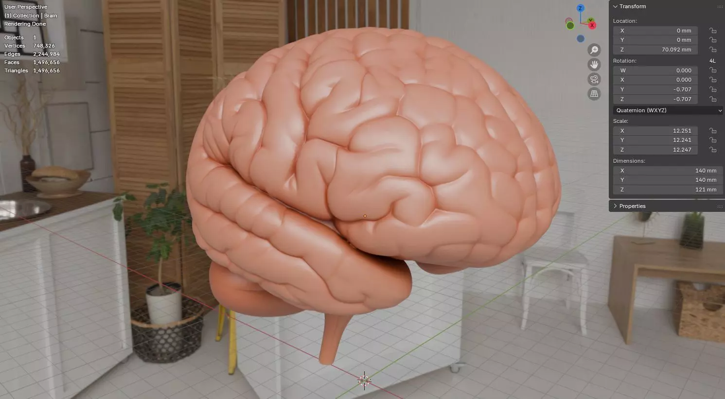 Human Brain 3D Model Realistic Anatomical Organ 3D model_18