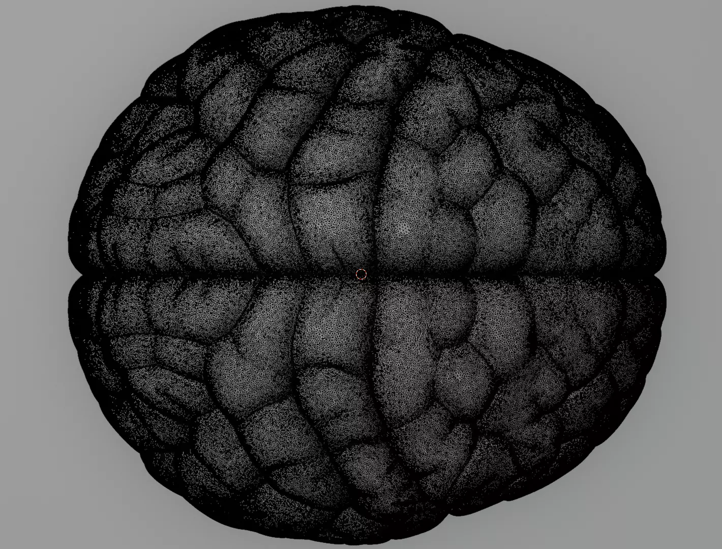 Human Brain 3D Model Realistic Anatomical Organ 3D model_12