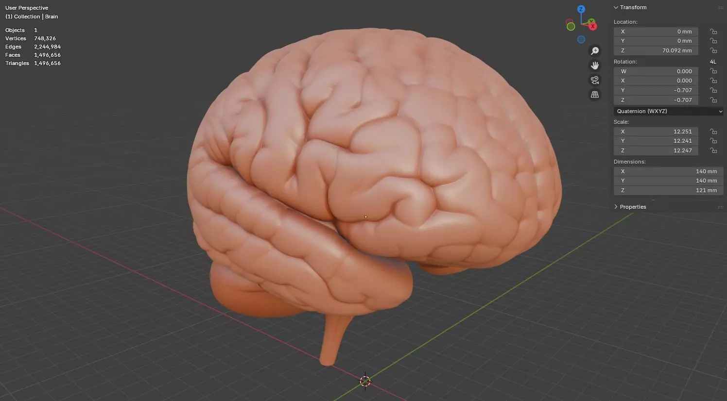 Human Brain 3D Model Realistic Anatomical Organ 3D model_17